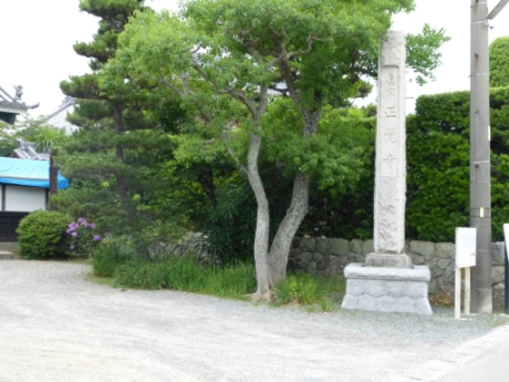 画像42